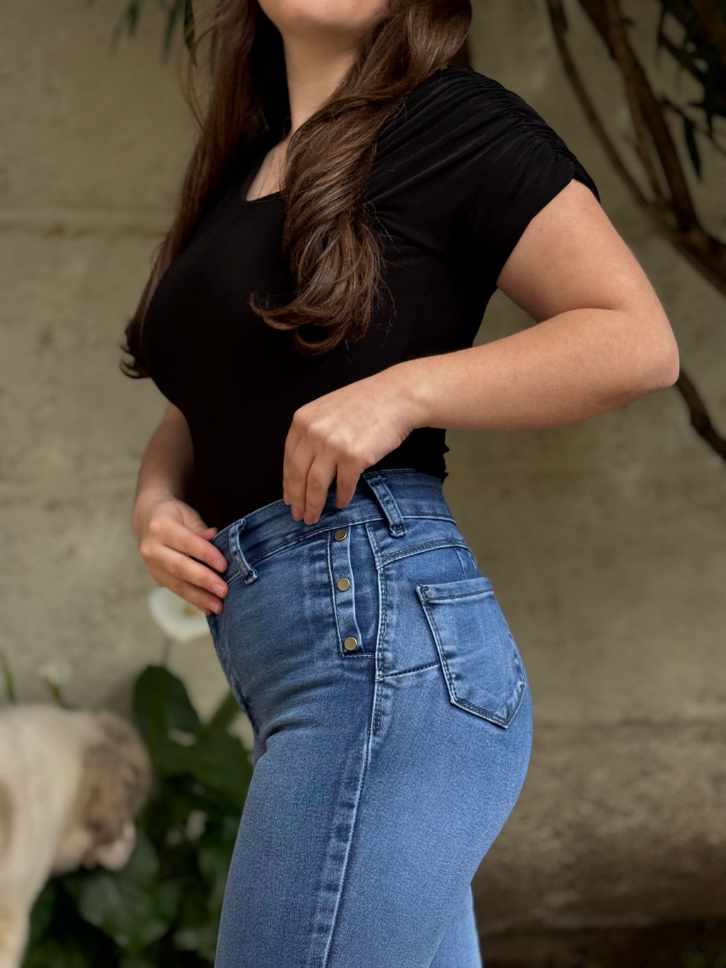 PITILLO CELESTE TACHAS
